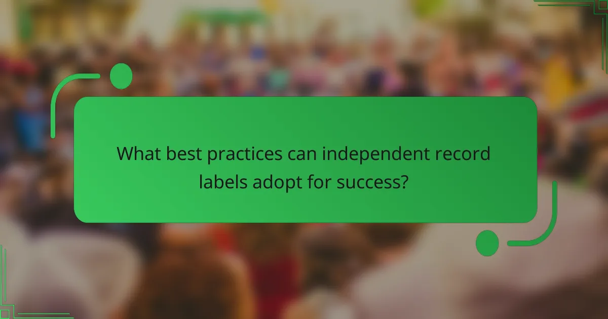 What best practices can independent record labels adopt for success?